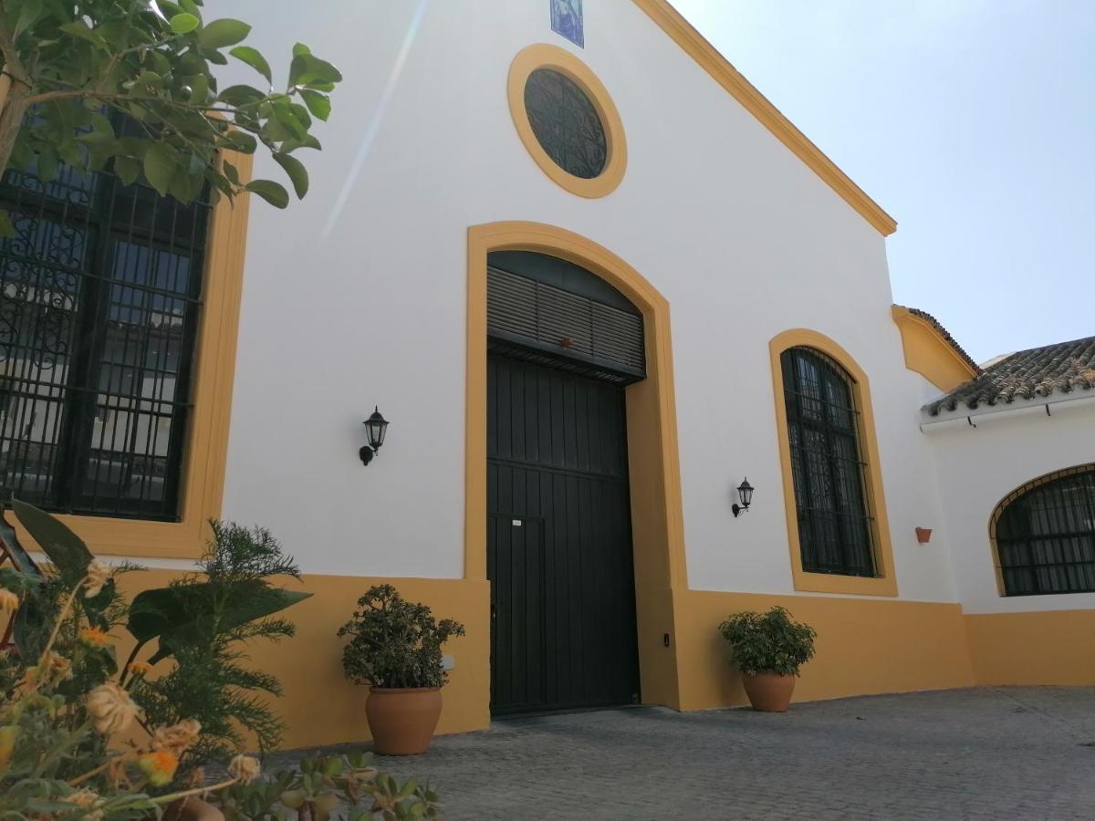 Entre Bodegas Jerez Lejlighed Jerez de la Frontera Eksteriør billede